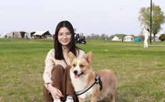 黄漫画画车车好快的车车哔哩哔哩